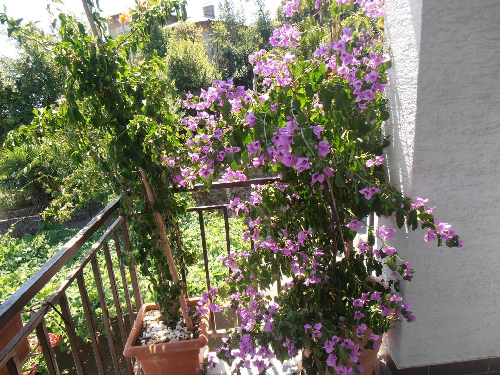 Guesthouse Villa Stanger لوفغان المظهر الخارجي الصورة