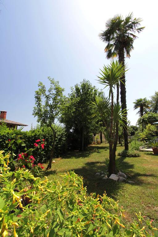 Guesthouse Villa Stanger لوفغان المظهر الخارجي الصورة